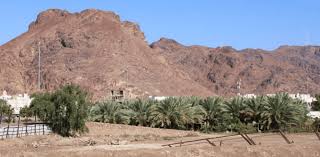 UHUD